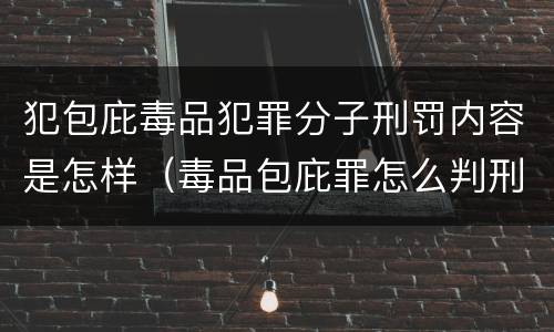 犯包庇毒品犯罪分子刑罚内容是怎样（毒品包庇罪怎么判刑）