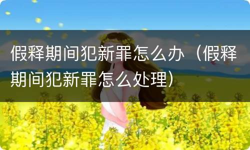 假释期间犯新罪怎么办（假释期间犯新罪怎么处理）