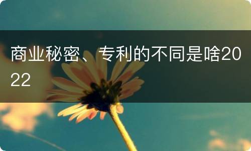 商业秘密、专利的不同是啥2022