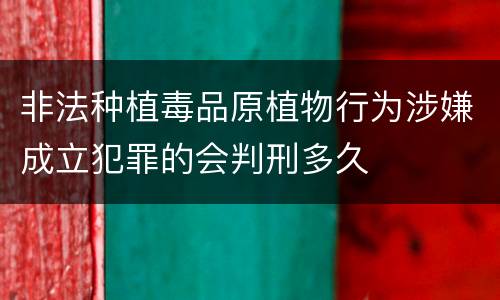 非法种植毒品原植物行为涉嫌成立犯罪的会判刑多久