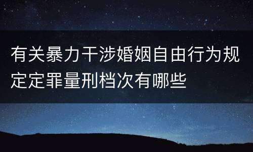 有关暴力干涉婚姻自由行为规定定罪量刑档次有哪些
