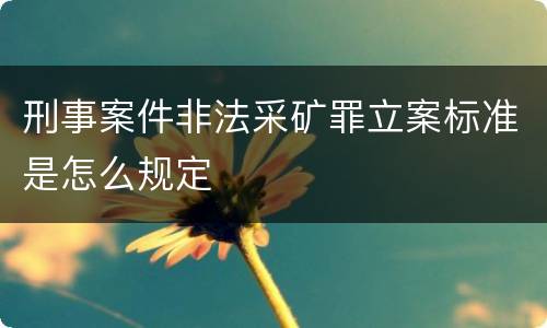 刑事案件非法采矿罪立案标准是怎么规定