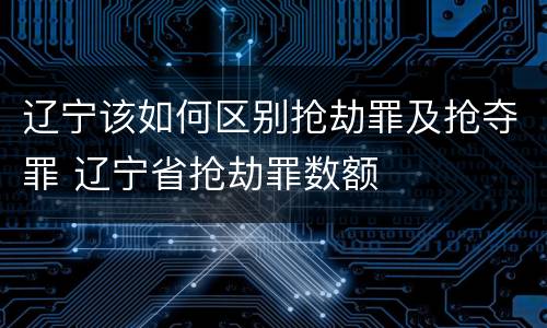 辽宁该如何区别抢劫罪及抢夺罪 辽宁省抢劫罪数额