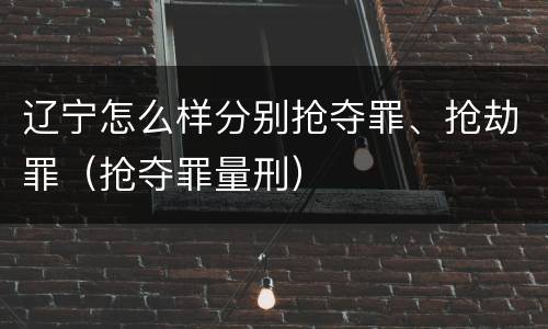 辽宁怎么样分别抢夺罪、抢劫罪（抢夺罪量刑）