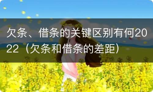 欠条、借条的关键区别有何2022（欠条和借条的差距）