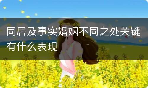 同居及事实婚姻不同之处关键有什么表现