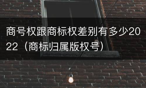 商号权跟商标权差别有多少2022（商标归属版权号）