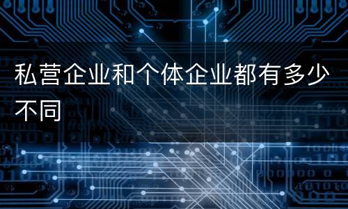 私营企业和个体企业都有多少不同