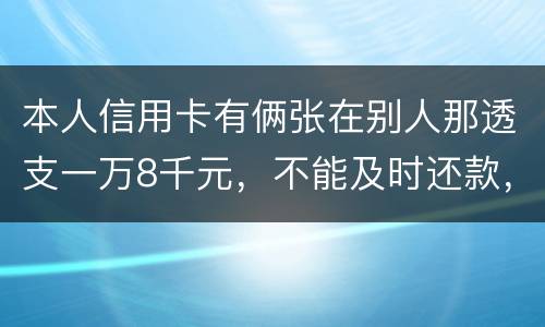本人信用卡有俩张在别人那透支一万8千元，不能及时还款，能起诉吗