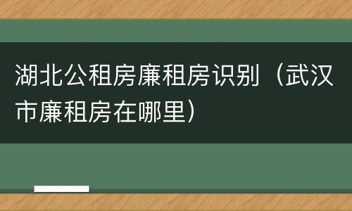 湖北公租房廉租房识别（武汉市廉租房在哪里）