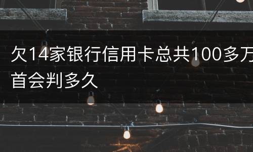 欠14家银行信用卡总共100多万首会判多久
