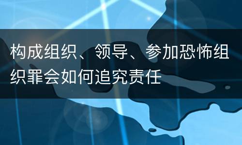 构成组织、领导、参加恐怖组织罪会如何追究责任