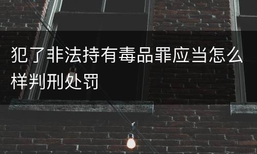 犯了非法持有毒品罪应当怎么样判刑处罚