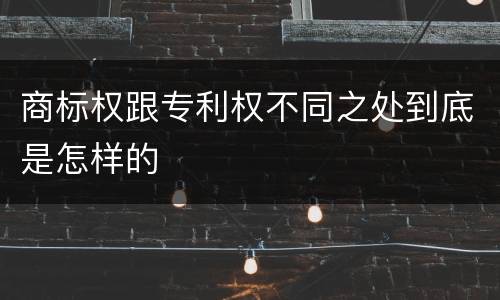 商标权跟专利权不同之处到底是怎样的
