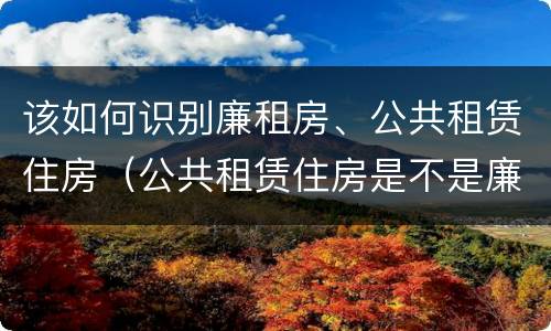 该如何识别廉租房、公共租赁住房（公共租赁住房是不是廉租房）