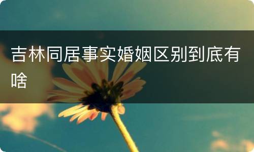 吉林同居事实婚姻区别到底有啥