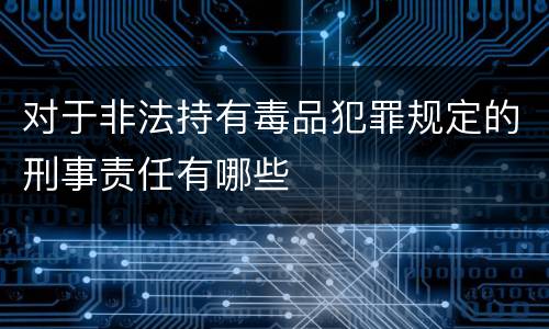 对于非法持有毒品犯罪规定的刑事责任有哪些