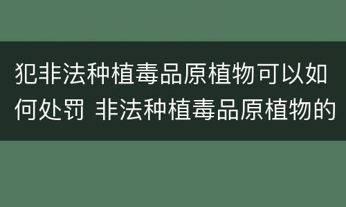 犯非法种植毒品原植物可以如何处罚 非法种植毒品原植物的处罚