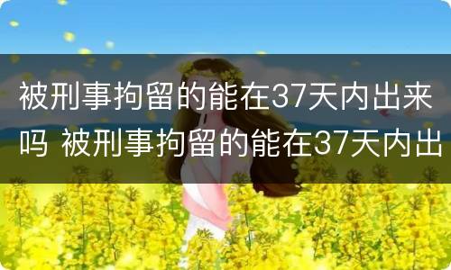 被刑事拘留的能在37天内出来吗 被刑事拘留的能在37天内出来吗怎么办