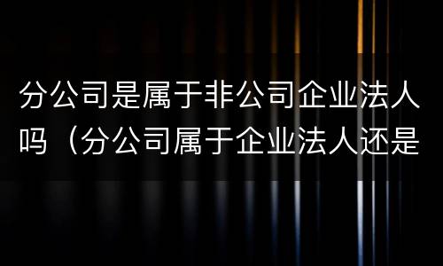 分公司是属于非公司企业法人吗（分公司属于企业法人还是非企业法人）