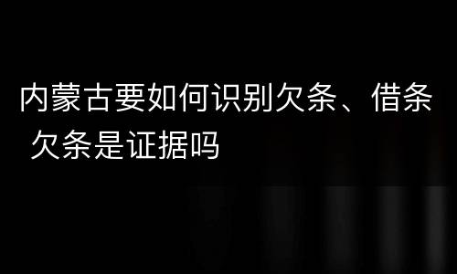 内蒙古要如何识别欠条、借条 欠条是证据吗