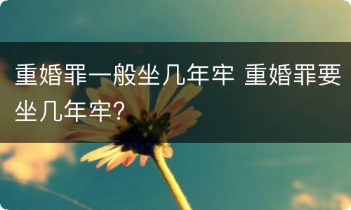 重婚罪一般坐几年牢 重婚罪要坐几年牢?