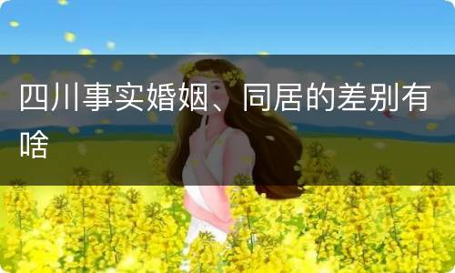 四川事实婚姻、同居的差别有啥