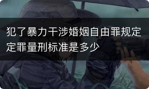 犯了暴力干涉婚姻自由罪规定定罪量刑标准是多少