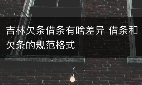 吉林欠条借条有啥差异 借条和欠条的规范格式