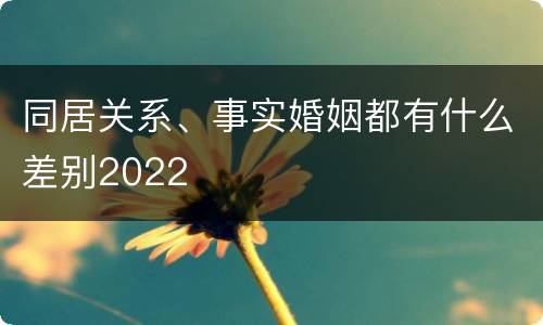 同居关系、事实婚姻都有什么差别2022