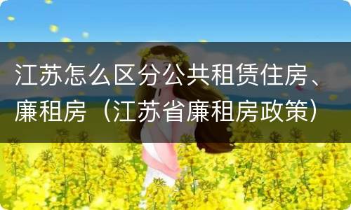 江苏怎么区分公共租赁住房、廉租房（江苏省廉租房政策）