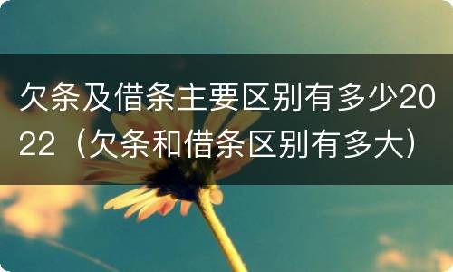 欠条及借条主要区别有多少2022（欠条和借条区别有多大）