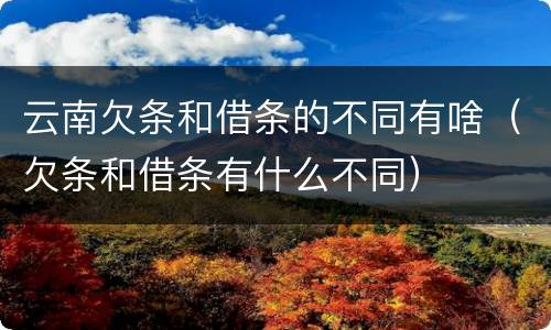 云南欠条和借条的不同有啥（欠条和借条有什么不同）