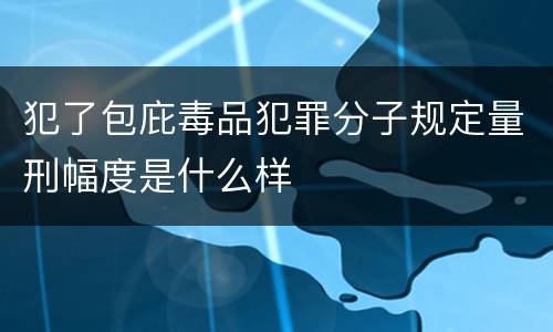 犯了包庇毒品犯罪分子规定量刑幅度是什么样