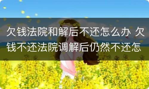 欠钱法院和解后不还怎么办 欠钱不还法院调解后仍然不还怎么办