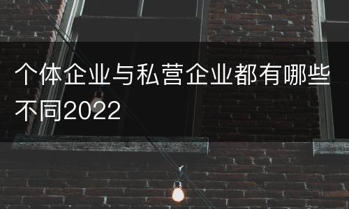 个体企业与私营企业都有哪些不同2022