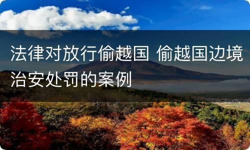 法律对放行偷越国 偷越国边境治安处罚的案例
