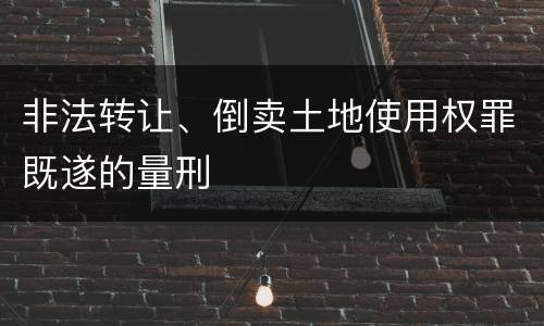 非法转让、倒卖土地使用权罪既遂的量刑