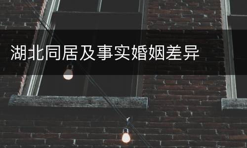 湖北同居及事实婚姻差异