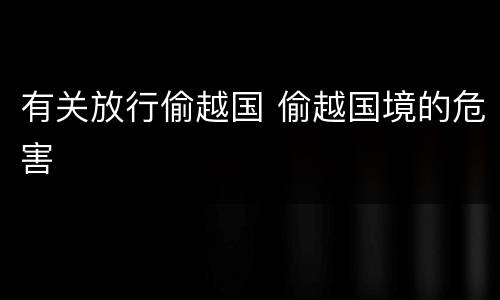 有关放行偷越国 偷越国境的危害