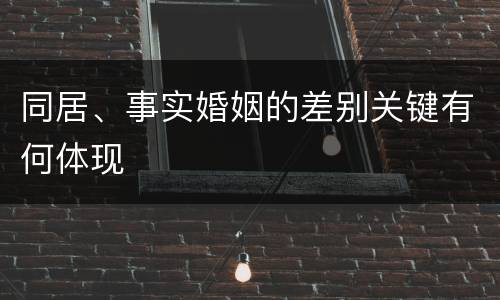 同居、事实婚姻的差别关键有何体现