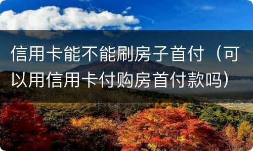 信用卡能不能刷房子首付（可以用信用卡付购房首付款吗）