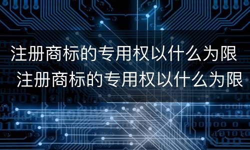 注册商标的专用权以什么为限 注册商标的专用权以什么为限制