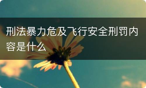 刑法暴力危及飞行安全刑罚内容是什么