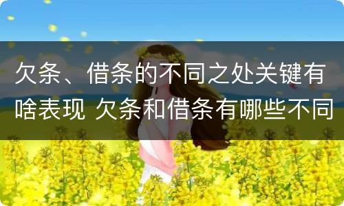 欠条、借条的不同之处关键有啥表现 欠条和借条有哪些不同点