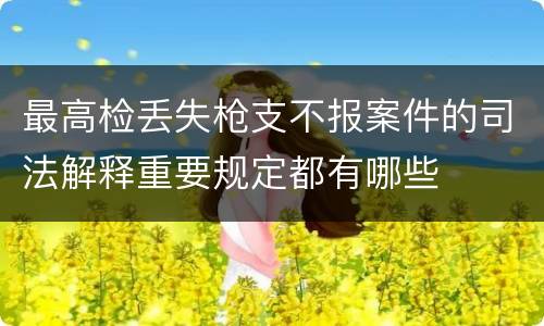 最高检丢失枪支不报案件的司法解释重要规定都有哪些