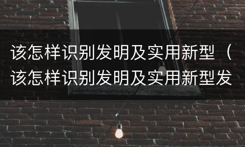 该怎样识别发明及实用新型（该怎样识别发明及实用新型发明）