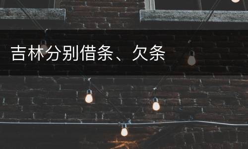吉林分别借条、欠条