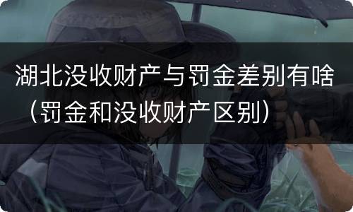 湖北没收财产与罚金差别有啥（罚金和没收财产区别）