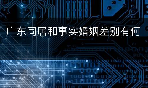 广东同居和事实婚姻差别有何
